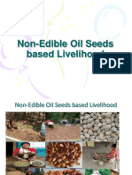 Non Edible Oil Seeds Based Livelihood22