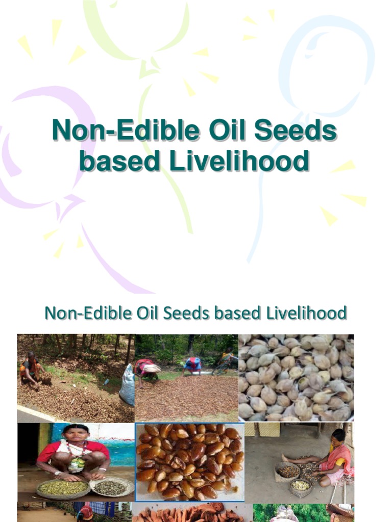 Non Edible Oil Seeds Based Livelihood22 PDF Biofuel Biodiesel