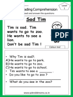 Sad Tim Comprehension