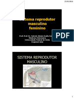 SISTEMA REPRODUTOR FEMININO e MASCULINO