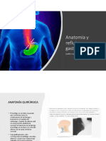 Anatomía y Reflujo Gastroesofagico