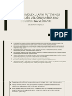 Ćelijski I Molekularni Putevi Koji Kontrolišu Veličinu Mišića Kao Odgovor Na Vežbanje