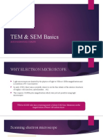 SEM and TEM Basics