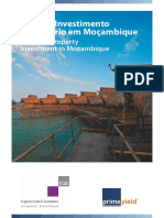 Guia Imobiliário Moçambique: Crescimento Económico 8