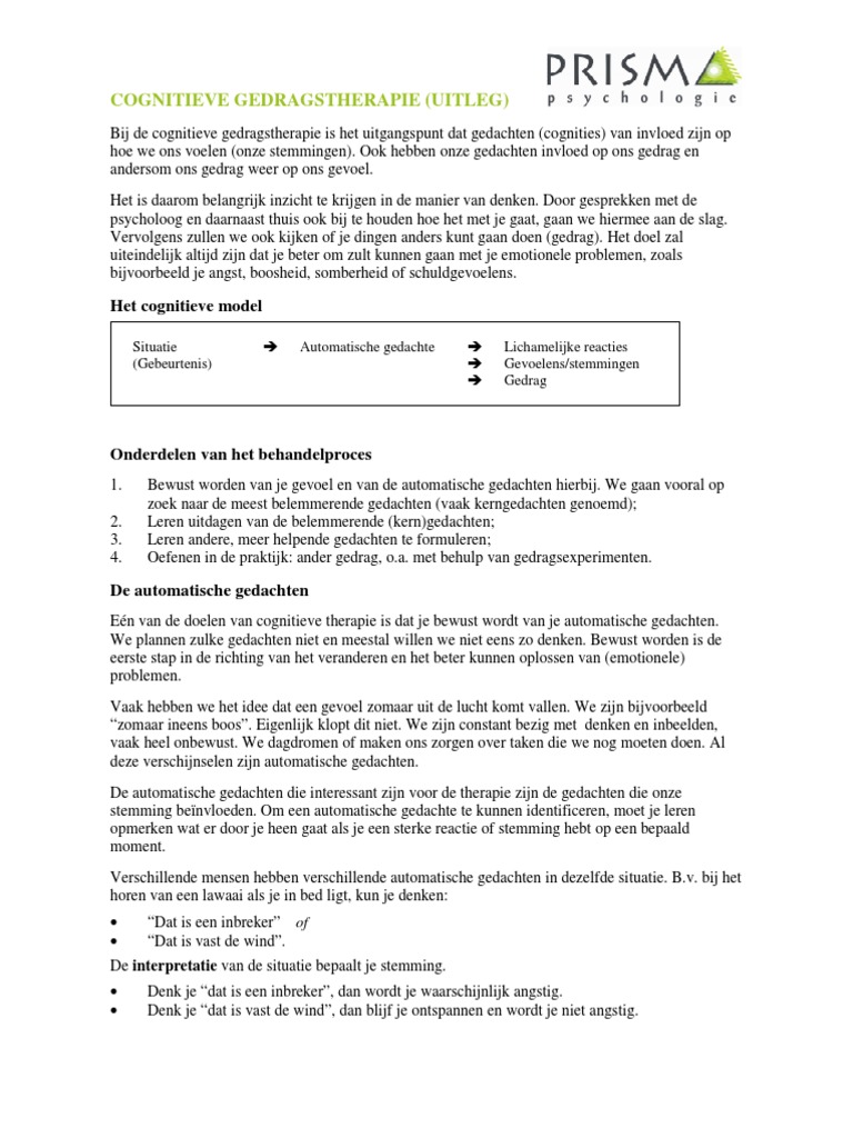 Thesis cognitieve therapie 05 picture