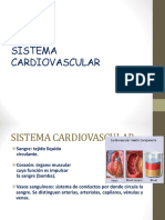 Sistema - Cardiovascular 2022