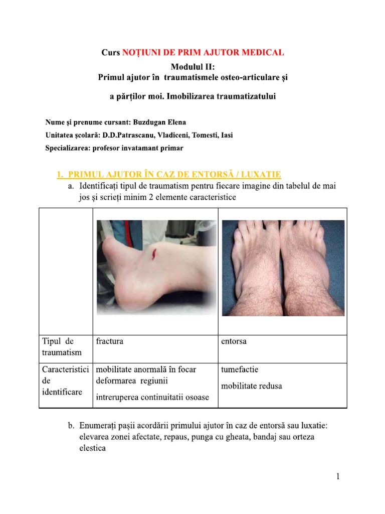 Evaluare Modul 2 | PDF