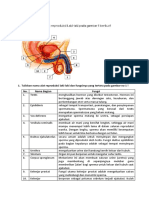 LKPD 1 Alat Reproduksi Pada Manusia
