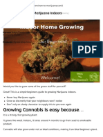 Beginners Growing Marijuana Indoors