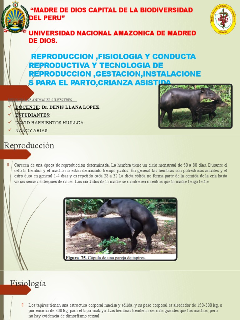 Reproducción, fisiología y tecnologías de reproducción asistida en ...