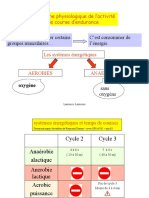 Physio Endurance L.L 2