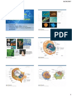 Dinding Sel & Membran Plasma Biologi Sel