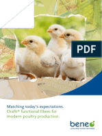 Beneo Brochure Poultry en 201806v1