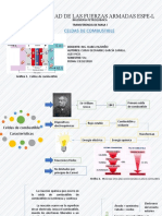 Taller 2 Presentación Celdas de Combustible Curay García Pico