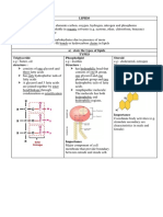 1.3 Lipids