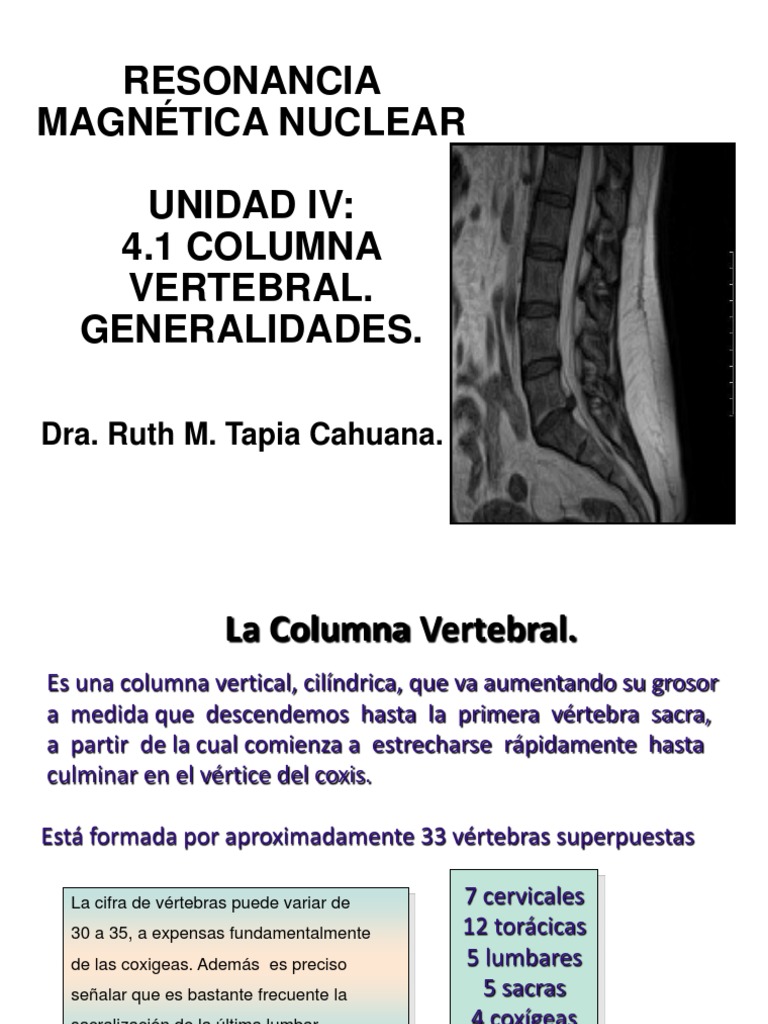 4 1 Columna Vertebral Generalidades Pdf Médula Espinal Vértebra