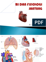 Anatomi Jantung Bahasa