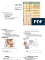 Reproductive System