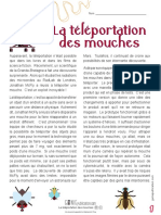 La Téléportation Des Mouches