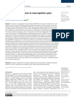 A Review of Nutrition in Neuropathic Pain