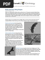 Bird Wing Types Handout