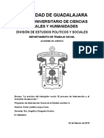 La Práctica Del Trabajador Social. El Proceso de Intervención y El Momento de Ejecución