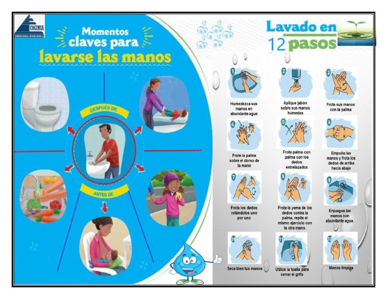 Banner Pasos para El Lavado de Las Manos | PDF