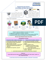 Diario de Lectura 10 SEXTO GRADO