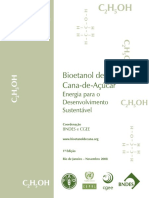 Bioetanol Da Cana-De-Acucar P2021