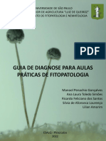 PDF Livro Esalq - Guia de Diagnose