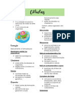 Estrutura e Funções das Organelas Celulares