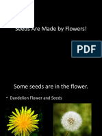 SeedsAreMadeByFlowers 1