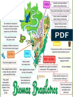 mapa-mental-biomas-brasileiros