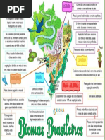 Mapa Mental Biomas Brasileiros | PDF | Florestas | Geociências