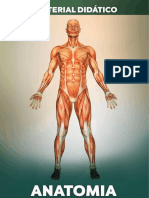 Anatomia e fisiologia dos sistemas humanos