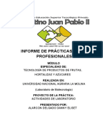 Informe de Prácticas Pre Profesionales de Frutas y Hortalizas Terminado