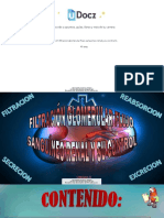 Cap 27 Filtracion Glomerular Flujo Sanguineo Renal y Su Control 1 79038 Downloable 1213351