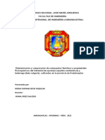 Determinacion de Compuestos Fenolicos de Ayrampo y Beterraga. 111111