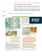 112.TD1 .Des Endosymbioses Et Leurs Conséquences Évolutives