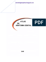 Atlas de Anatomia Dental SAM