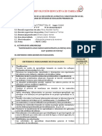 Ficha de Evaluacion de Acompañamiento Del Practicante