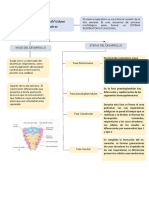 Desarrollo Embriologico