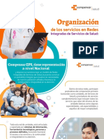 Organización de Los Servicios RISS