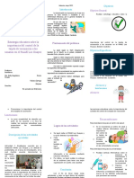 Triptico Trabajo Practicas Profesionales Comunitarias