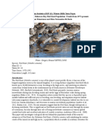 Writing Sample Red Knot Population Dynamics