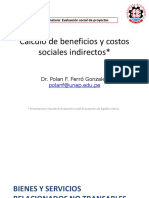 Calculo de Beneficios y Costos Sociales Indirectos : Dr. Polan F. Ferró Gonzales