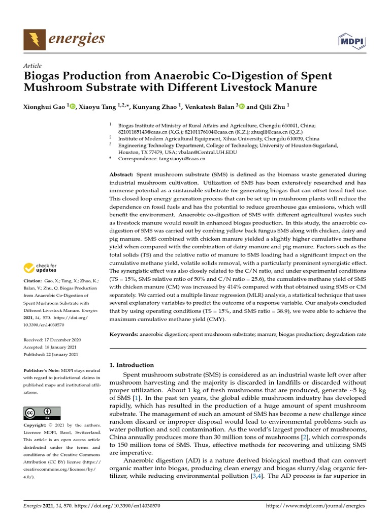 Biogas Production From Anaerobic Co Digestion Of Spent Mushroom