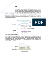 Transferencia de Información