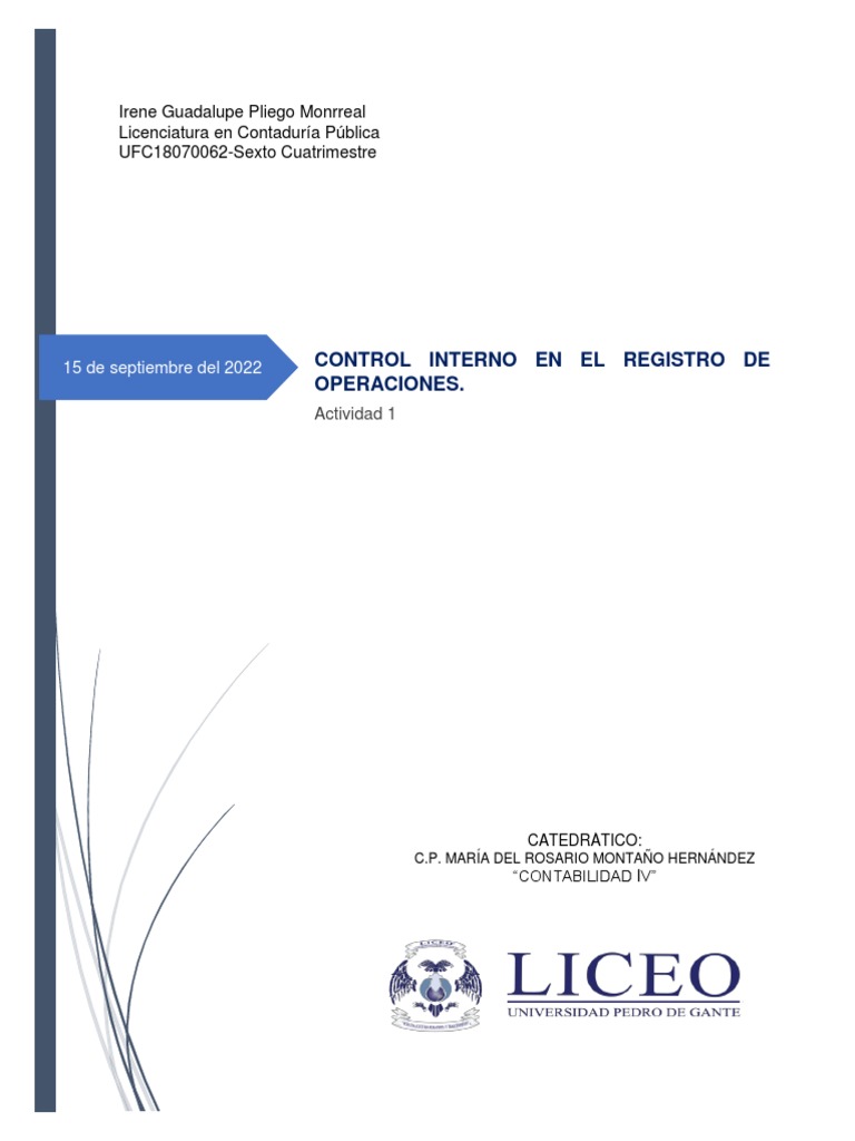 Control Interno en Operaciones Contables | PDF | Contabilidad | Estado ...