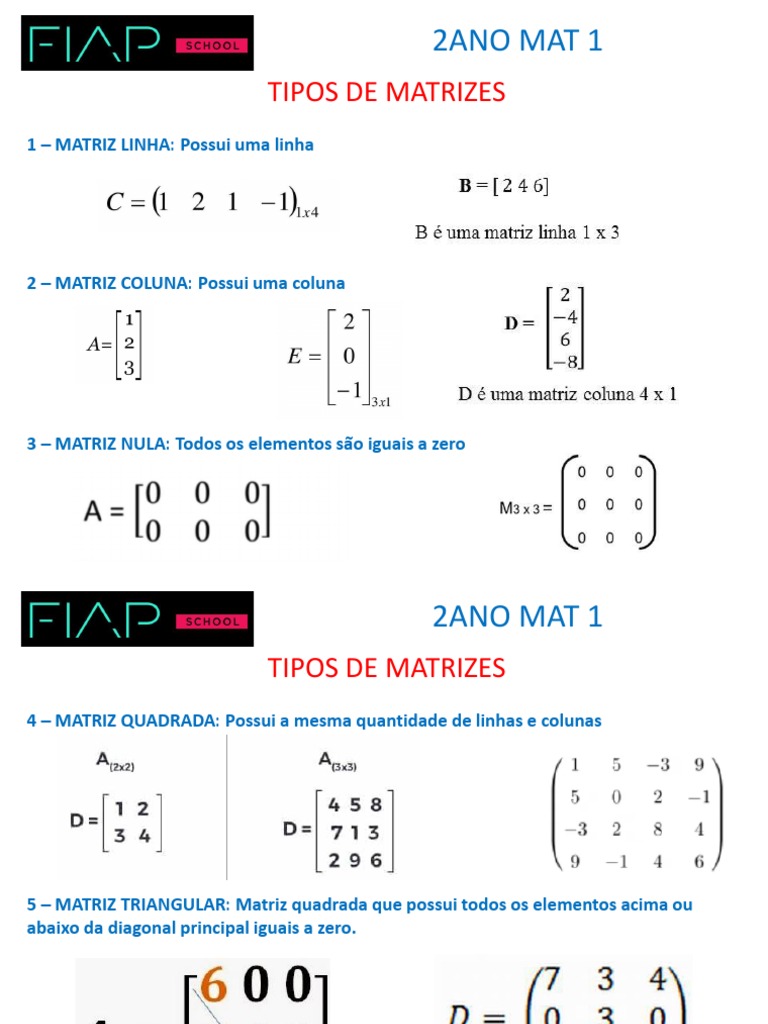 Tipos de Matrizes | PDF